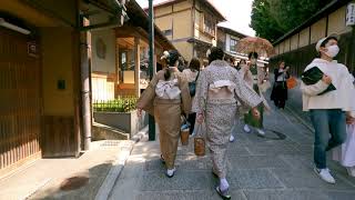 2022 Kyoto old street with cherry blossoms  / 2022年京都桜清水寺への道