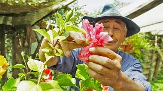 “El Profe”, coleccionista de tesoros naturales del Choapa