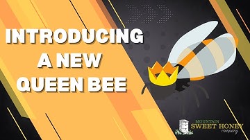 How Do You Introduce A New Queen To An Existing Hive?