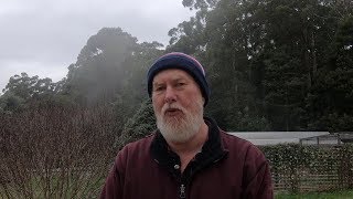 What is a Tasmanian WINTER Really Like?