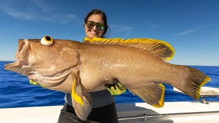 RECORD BREAKING Grouper! Catch, Clean, Cook! Dauphin Island, Alabama