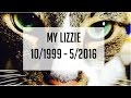 Lizzie 10/1999 to 5/2016