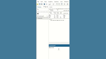 Describe command in STATA #Shorts