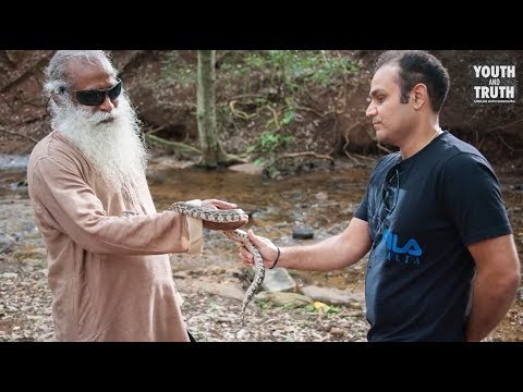 Ask Anything You Wants To Sadhguru | Youth And Truth How To
