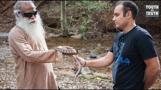 Ask Anything you Wants to Sadhguru | Youth And Truth How To