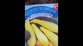What To Plant In May- Corn Watermelon Okra Squash Cucumber Beans Herbs#81