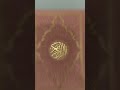 Beautiful islamic shorts islamic status makkah youtubeshorts tiktok.