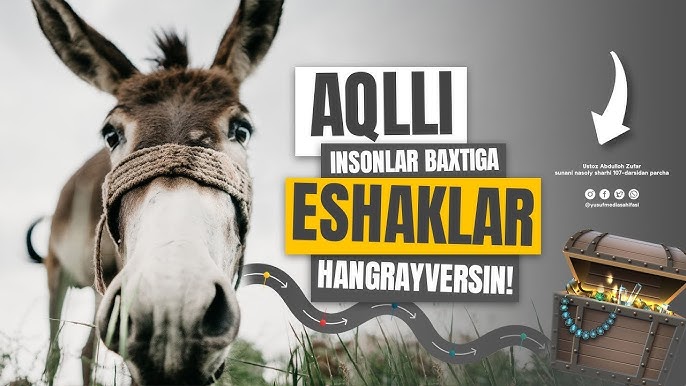 Yekaterinburgda jinsiy aloqa xizmatlari (fotosuratlar) Qora erkaklar bilan yosh qizlar anal jinsiy aloqada bolishadi