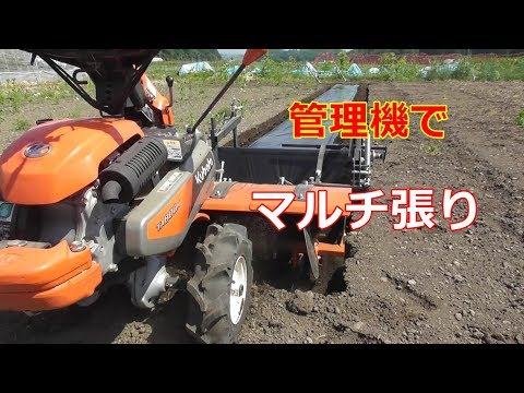 クボタ 管理機でマルチ張り ニューベジマスターta800n ロータリマルチ ハッスル Youtube