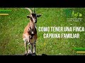 Como Tener una Finca Caprina familiar - TvAgro por Juan Gonzalo Angel