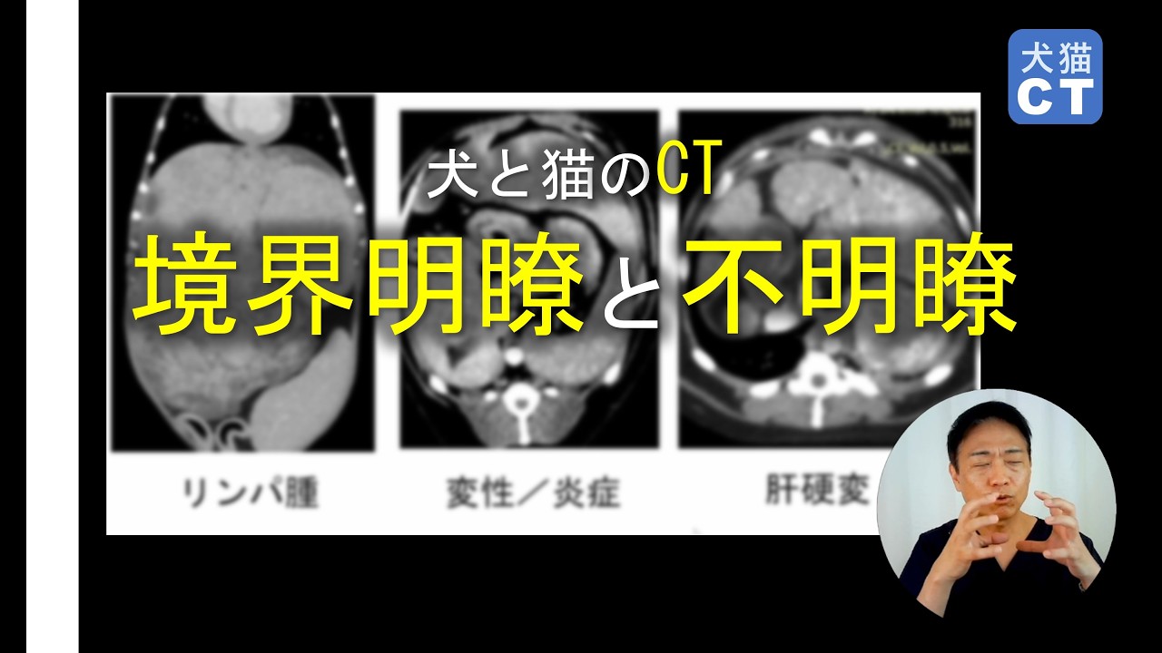 For Veterinarians Well-Defined vs. Ill-Defined Margins in CT