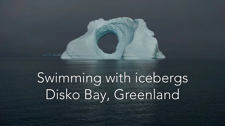 Swimming with icebergs: Disko Bay, Greenland