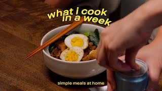 vlog / what i cook in a week (simple!!), herbal bak kut teh, veggie soba, baked tonkatsu, lu rou fan