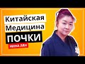 Почки. Китайская медицина c Ниной Лян