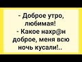 Покусанная Жена в Постели! Подборка Смешных Жизненных Анекдотов! Настроение Гарантированно!