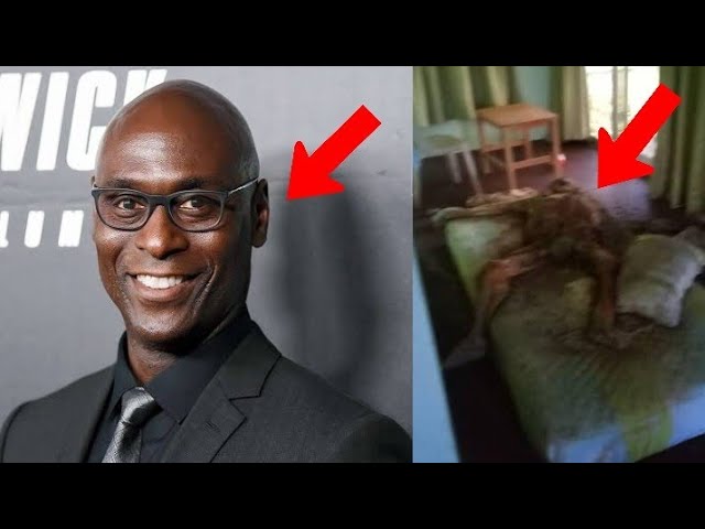 Lance Reddick Net Worth