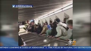 Caught On Camera: Rome Escalator Accident