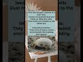 The Invisible Creatures Around You #insect #science