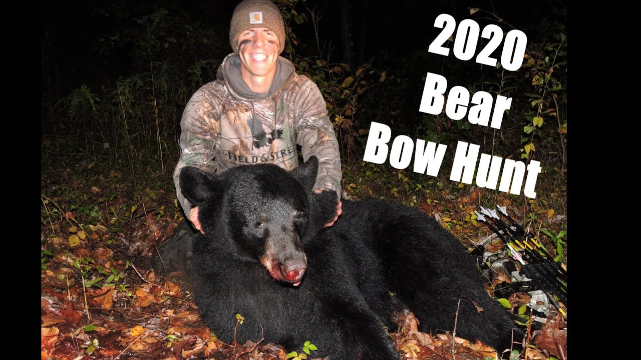 NJ Bear Hunt with the Bow 2020 (3 Camera Angles!) YouTube