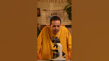 اندومي تحت الميكروسكوب 
