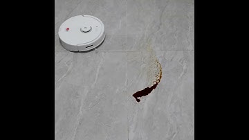 Spot Cleaning Test on Roborock Q8 Max+ Robot Vacuum Cleaner