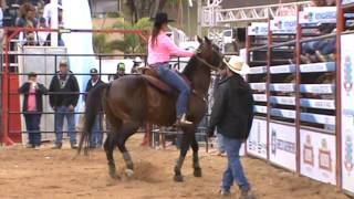 Olivia Batistella - 3 Tambores