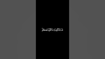 ((فستذكرون ما أقول لكم وأُفوض أمري الى اللّٰه)) تلاوة مؤثرة للشيخ أبو بكر الشاطري 🤍 شاشة سوداء