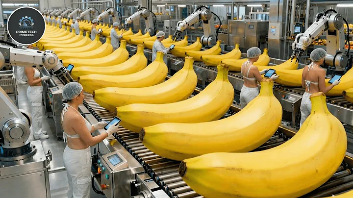 Inside a banana bread factory – An incredible automated production process