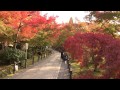 4K 永観堂 禅林寺