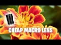 Amazing CHEAP Macro Lens! | 7artisans 60mm F2.8 MACRO Review