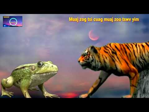 Video: Puas Yog Christmas Tsiaj Muaj Lub Tswv Yim Zoo?