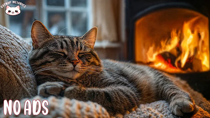 Music Sleep For Cat 🐈 Anxiety Relief Music For Cats And Soothe Your Cat With Our Relaxation Music 🔥