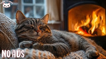 Music Sleep For Cat 🐈 Anxiety Relief Music For Cats And Soothe Your Cat With Our Relaxation Music 🔥