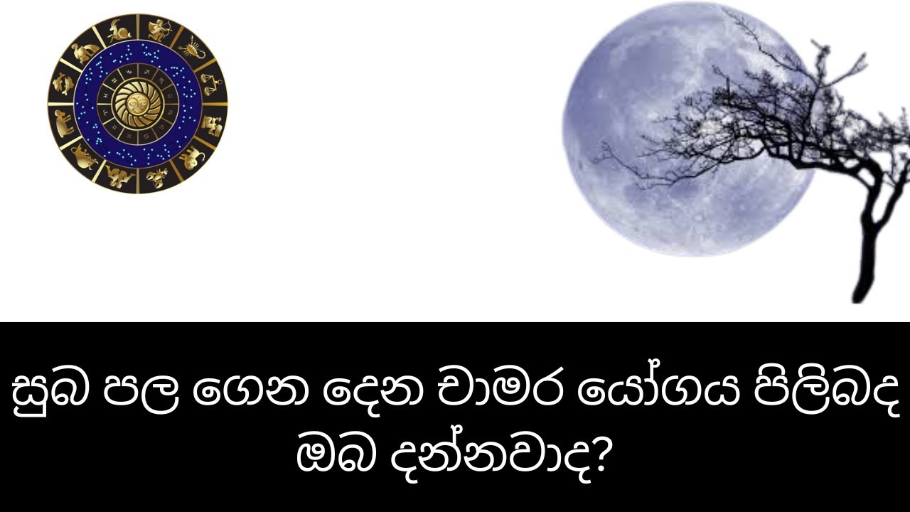 සුබ පල ගෙන දෙන චාමර යෝගය පිලිබද ඔබ දන්නවාද?