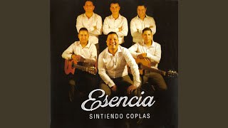 Video thumbnail of "Esencia - Compañera Ideal"