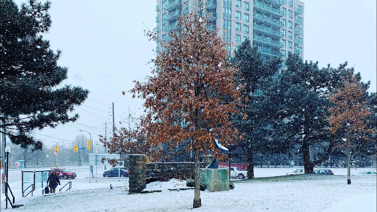 Another snow day in Toronto - Winter 2019