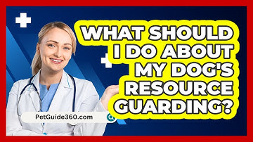 What Should I Do About My Dog