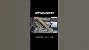 Kewei Intelligent Industrial Robots Improve Efficiency #machine #robotic#palletizer #factory