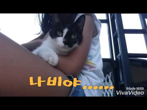나비어디봐?심심한데ㅠㅠ....
