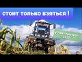 Только начали и уже все. КТО К НАМ ПРИЕХАЛ !?!?! уборка кукурузы 2020