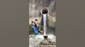 Cá Lớn - cá Chép Khủng thoát khỏi cống thoát nước 😱 #khacthuyvlogg