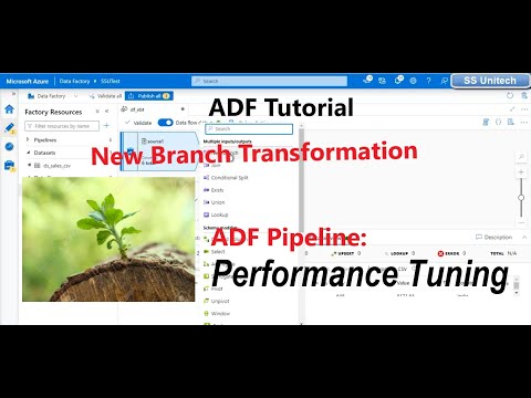 New Branch in