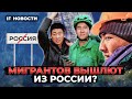 Каких мигрантов выдворят из России? Разморозка акций начнется в марте / Новости экономики