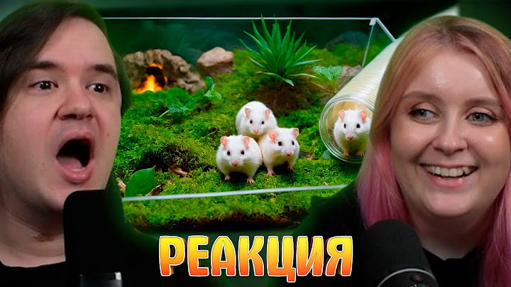 ДЕТЕНЫШИ СТЕПЫ ПОПАЛИ В ПОДЗЕМНЫЙ ХОМЯКАРИУМ | РЕАКЦИЯ НА @SlivkiShow |