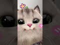 Meow Meow 💕#cat #catvideos #catsounds #meow #meowing #fluffy #fluffycat #petmate #shorts