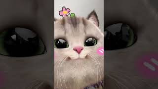 Meow Meow 💕#cat #catvideos #catsounds #meow #meowing #fluffy #fluffycat #petmate #shorts