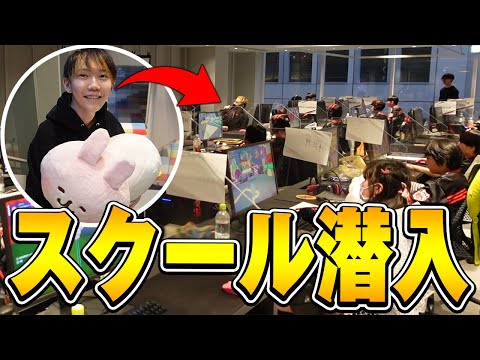 カナヘイの小動物 ピスケ&うさぎと一緒にCR Fortnite CAMPに潜入してみた！【フォートナイト/Fortnite】