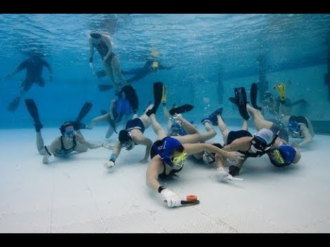 The Top 10 Weirdest Sports in the World|Top 10 Strangest Sports in The World