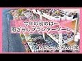 [多肉植物]今年初めは〜雨ざらしプランターゾーンから〜^_^1人になった私の戯言