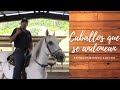 CABALLOS QUE SE ANDONEAN